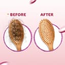Mamaearth Onion Hair Oil with Onion Oil & Redensyl for Hair Fall Control - 200 ml view 4